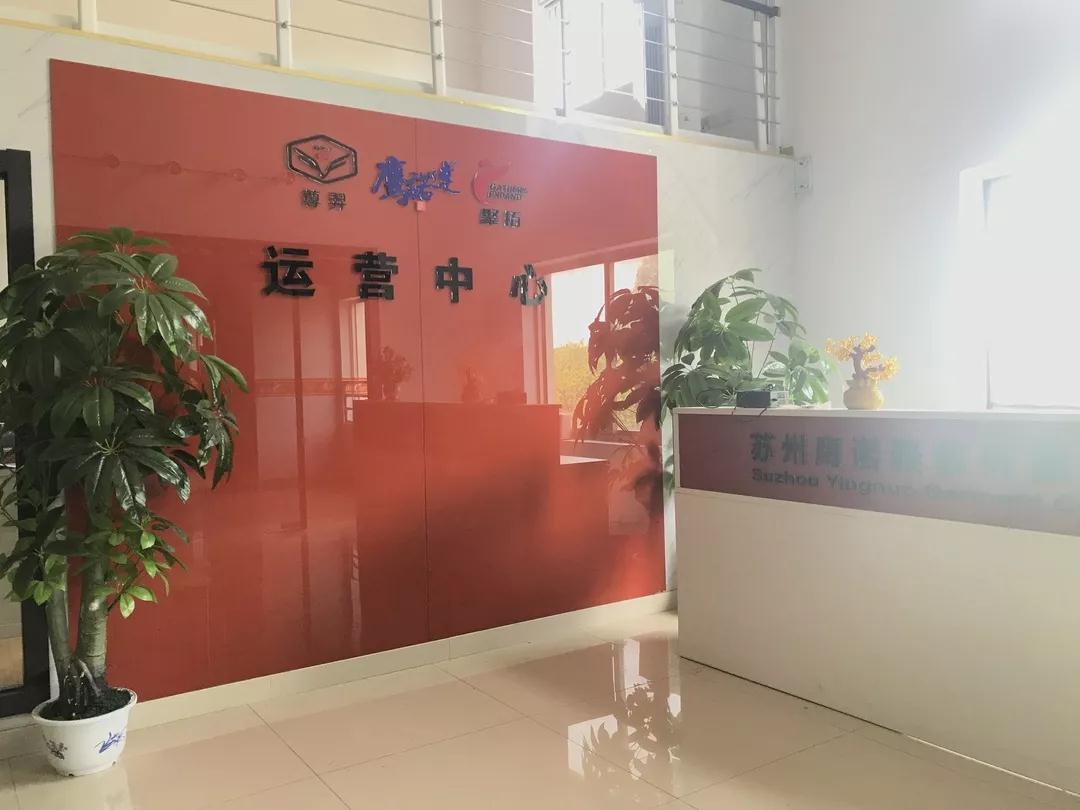  鹰诺达